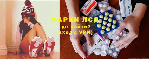 сатива Аркадак