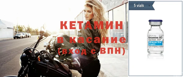 сатива Аркадак