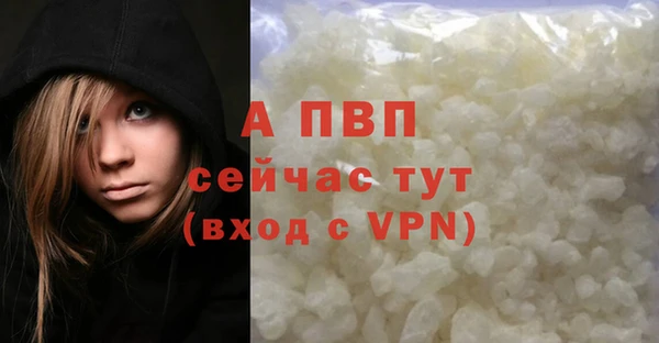 сатива Аркадак