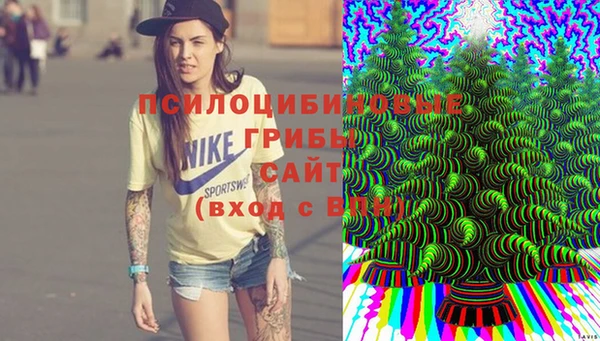 молекула духа Строитель