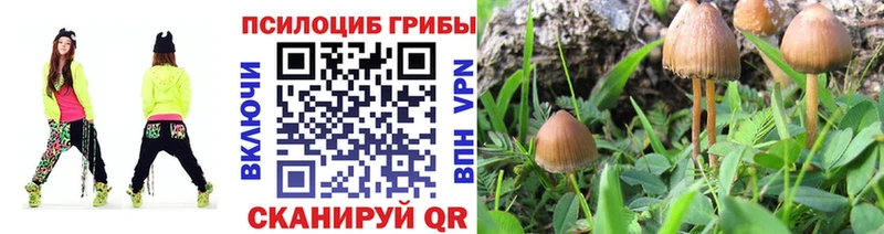 OMG ссылки  Чехов  Псилоцибиновые грибы ЛСД 